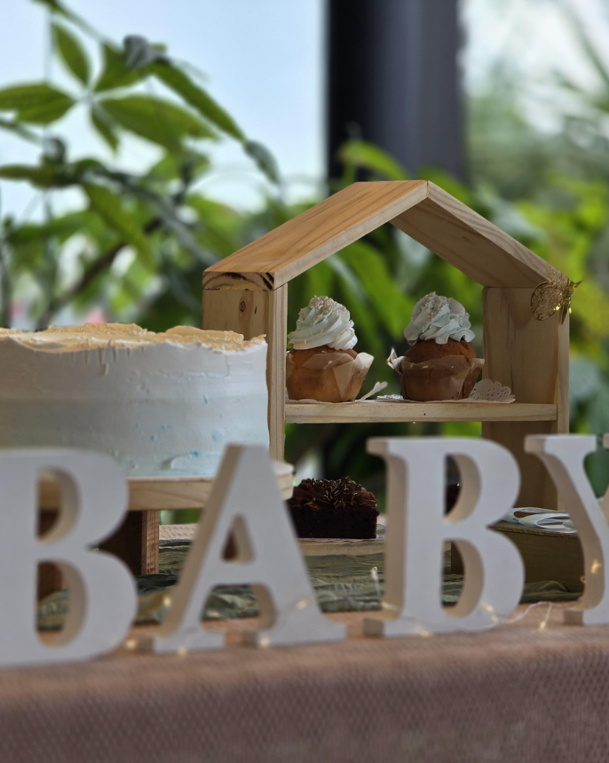 baby shower_domicilio
